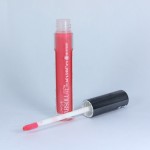 Lakme Abso Plump & Shine       BERRY SHINE (6)