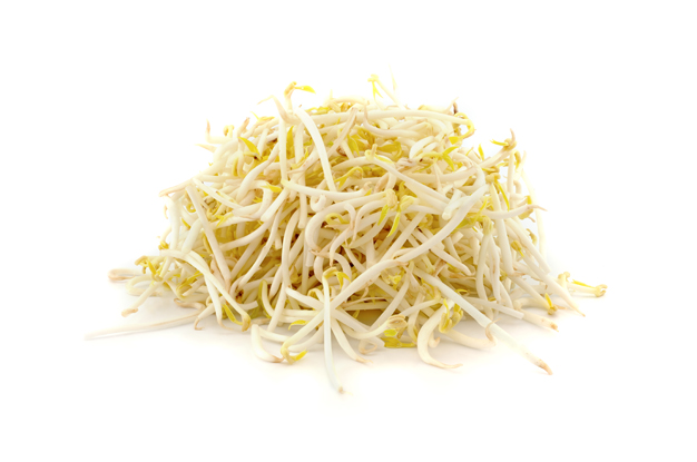 Bean Sprouts