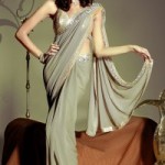 sexy saree 2