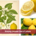 Amazing Unknown Uses of Lemons