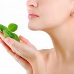 Mint Leaves
