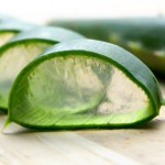 Aloe cut