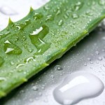 Aloe Vera Gel