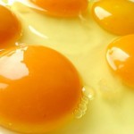 Egg Yolk
