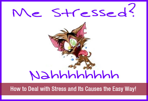How to Deal with Stress and Its Causes the Easy Way!