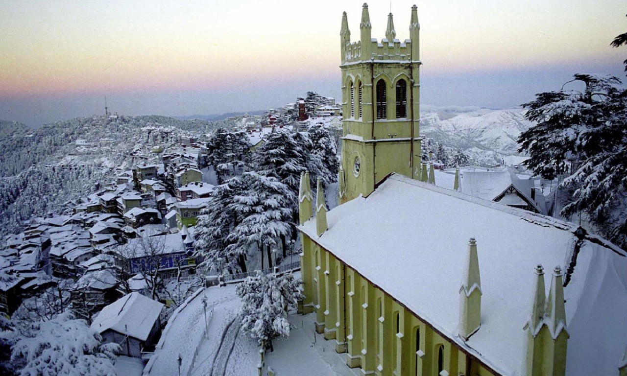 shimlacover