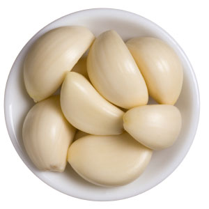 Garlic