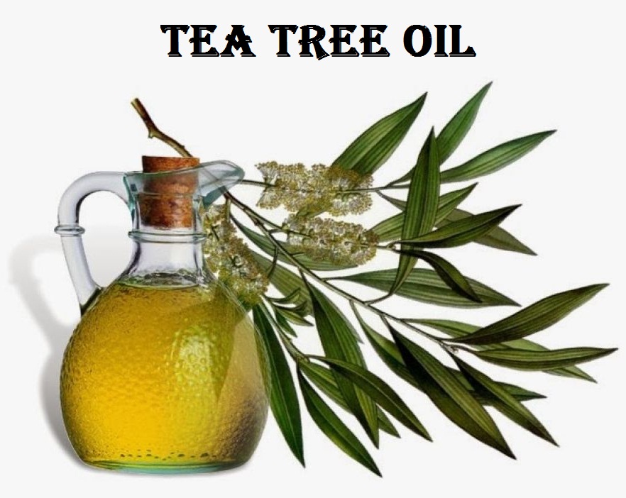 Tea Tree oil