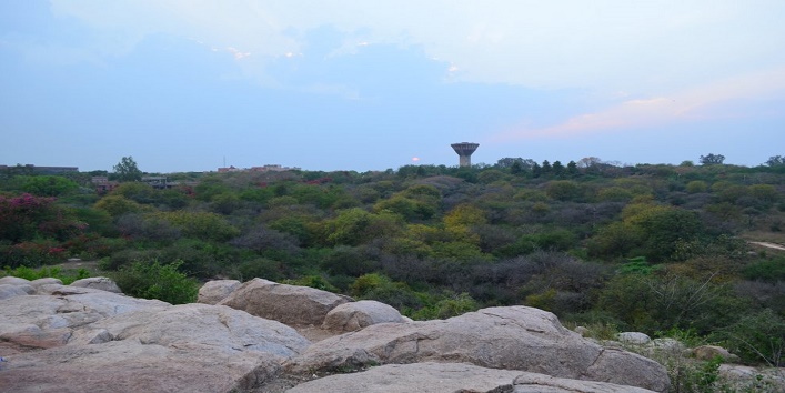 jnu