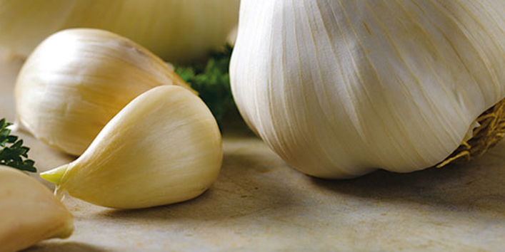 Garlic