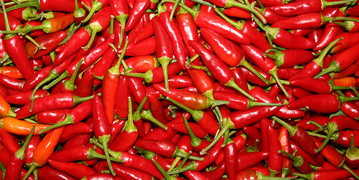 Chilli