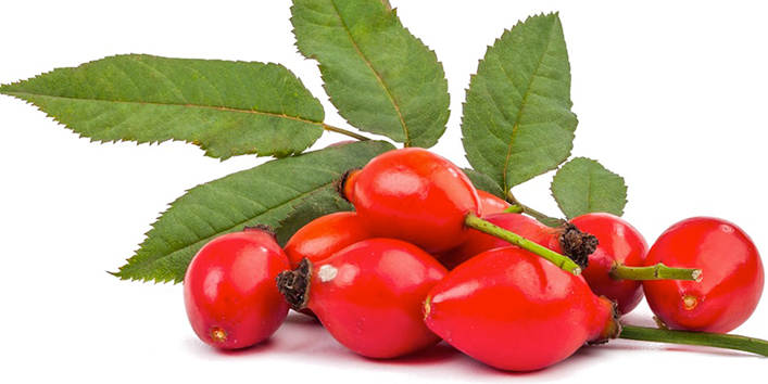 Rose-hip-oil