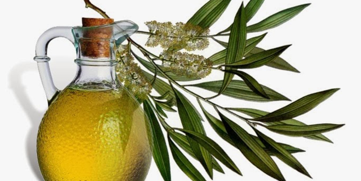 Tea-tree-oil