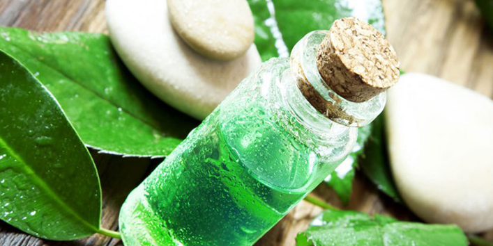 Add-tea-tree-oil-in-shampoo