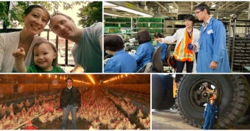 occupational hygine