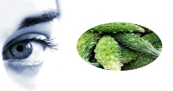 Vision