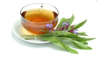 Sage-tea