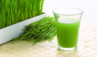 Wheatgrass-juice