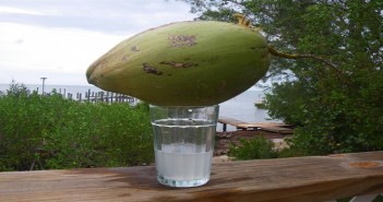 coconut-water1