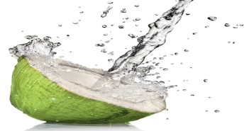 cover coconut