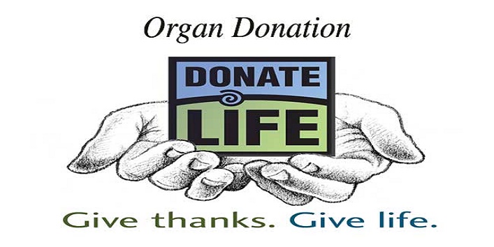 Organ donor