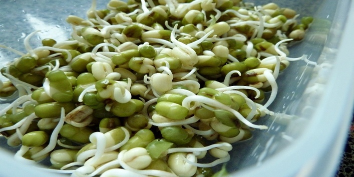 sprouts